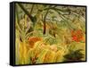 Tiger in a Tropical Storm (Surprised!) 1891-Henri Rousseau-Framed Stretched Canvas