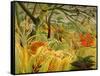 Tiger in a Tropical Storm (Surprised!) 1891-Henri Rousseau-Framed Stretched Canvas