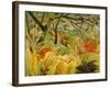 Tiger in a Tropical Storm (Surprised!) 1891-Henri Rousseau-Framed Premium Giclee Print