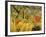 Tiger in a Tropical Storm (Surprised!) 1891-Henri Rousseau-Framed Premium Giclee Print