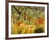 Tiger in a Tropical Storm (Surprised!) 1891-Henri Rousseau-Framed Giclee Print