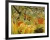 Tiger in a Tropical Storm (Surprised!) 1891-Henri Rousseau-Framed Giclee Print