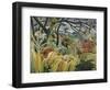 Tiger in a Tropical Storm (Surprised!)-Henri Rousseau-Framed Art Print