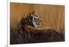 Tiger in Grass-Harro Maass-Framed Giclee Print