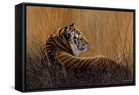 Tiger in Grass-Harro Maass-Framed Stretched Canvas