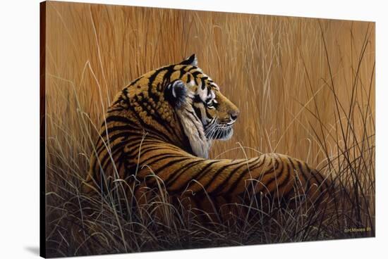 Tiger in Grass-Harro Maass-Stretched Canvas