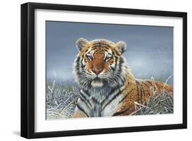 Tiger in Snow-Harro Maass-Framed Giclee Print