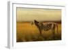 Tiger in the Golden Field-Jai Johnson-Framed Giclee Print