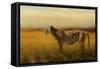 Tiger in the Golden Field-Jai Johnson-Framed Stretched Canvas