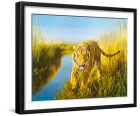 Tiger In The Indian Sunderbans-Leonard Pearman-Framed Giclee Print