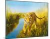 Tiger In The Indian Sunderbans-Leonard Pearman-Mounted Giclee Print