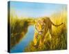 Tiger In The Indian Sunderbans-Leonard Pearman-Stretched Canvas