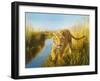 Tiger In The Indian Sunderbans-Leonard Pearman-Framed Art Print