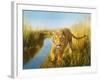 Tiger In The Indian Sunderbans-Leonard Pearman-Framed Art Print