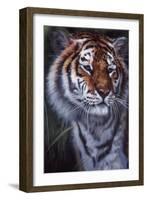 Tiger in the Midst-Jenny Newland-Framed Giclee Print