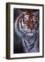 Tiger in the Midst-Jenny Newland-Framed Giclee Print