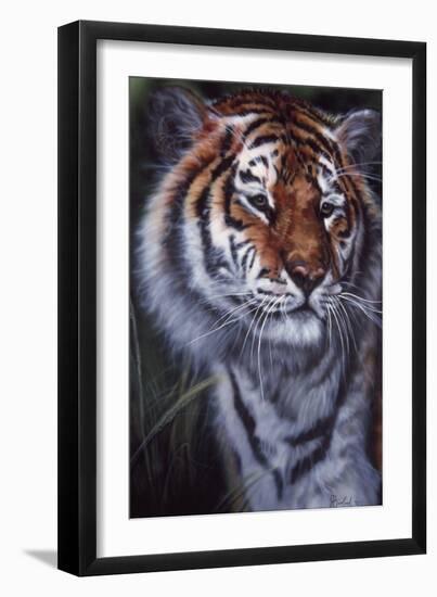 Tiger in the Midst-Jenny Newland-Framed Giclee Print