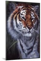 Tiger in the Midst-Jenny Newland-Mounted Giclee Print