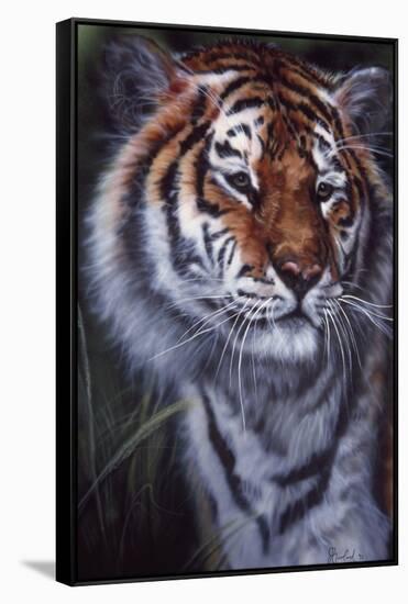 Tiger in the Midst-Jenny Newland-Framed Stretched Canvas