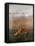 Tiger in the Rushes-Geza Vastagh-Framed Stretched Canvas