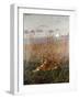 Tiger in the Rushes-Geza Vastagh-Framed Giclee Print