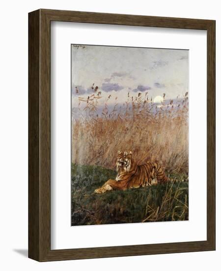 Tiger in the Rushes-Geza Vastagh-Framed Giclee Print