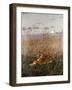 Tiger in the Rushes-Geza Vastagh-Framed Giclee Print