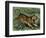 Tiger in the Wild, 1800s-null-Framed Premium Giclee Print