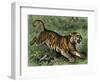 Tiger in the Wild, 1800s-null-Framed Premium Giclee Print