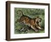 Tiger in the Wild, 1800s-null-Framed Giclee Print