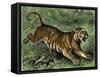 Tiger in the Wild, 1800s-null-Framed Stretched Canvas