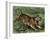 Tiger in the Wild, 1800s-null-Framed Giclee Print