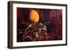 Tiger in the Woods-Gordon Semmens-Framed Giclee Print