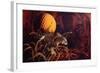 Tiger in the Woods-Gordon Semmens-Framed Giclee Print