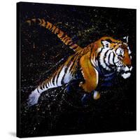 Tiger Jumping-null-Stretched Canvas