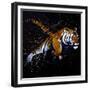 Tiger Jumping-null-Framed Premium Giclee Print