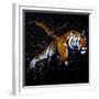 Tiger Jumping-null-Framed Premium Giclee Print