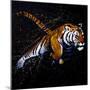 Tiger Jumping-null-Mounted Premium Giclee Print