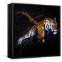 Tiger Jumping-null-Framed Stretched Canvas