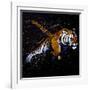 Tiger Jumping-null-Framed Art Print