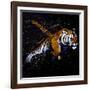 Tiger Jumping-null-Framed Art Print