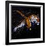 Tiger Jumping-null-Framed Art Print