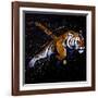 Tiger Jumping-null-Framed Art Print