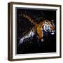 Tiger Jumping-null-Framed Art Print