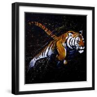 Tiger Jumping-null-Framed Art Print