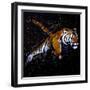 Tiger Jumping-null-Framed Art Print