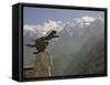 Tiger Leaping Gorge, Yangtze River, Yunnan, China, Asia-Rolf Richardson-Framed Stretched Canvas