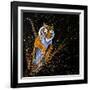 Tiger Leaping-null-Framed Art Print
