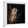 Tiger Leaping-null-Framed Art Print