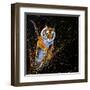 Tiger Leaping-null-Framed Art Print